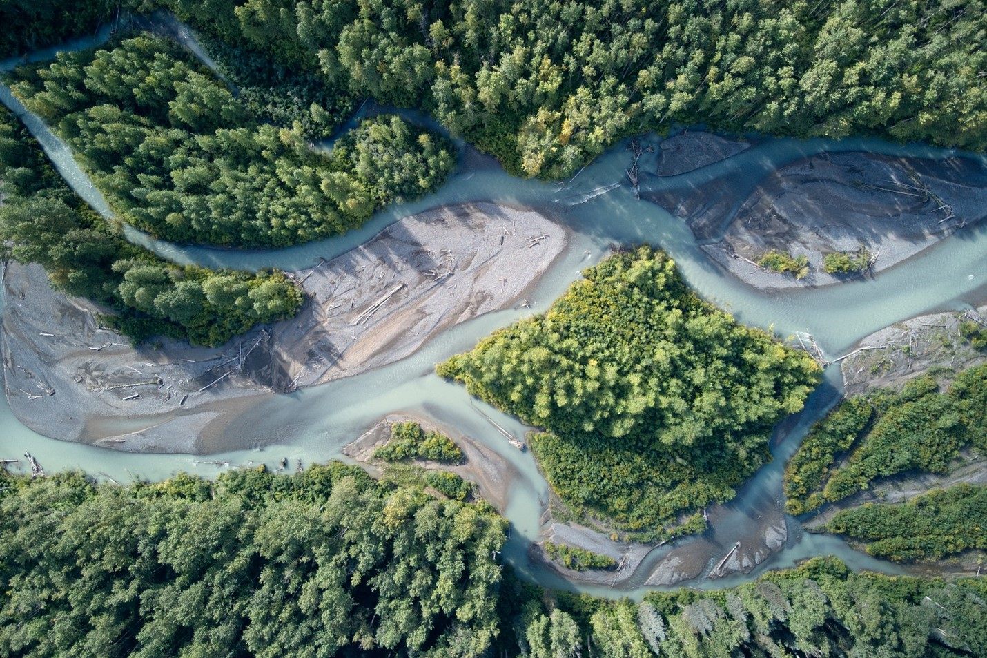 Braided glacier-fed channels of the Meziadin, at the headwaters of the Nass
